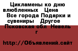 Цикламены ко дню влюбленных › Цена ­ 180 - Все города Подарки и сувениры » Другое   . Псковская обл.,Невель г.